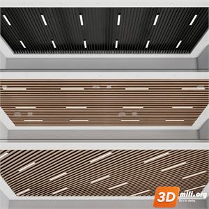 Ceiling Decoration Skp Files